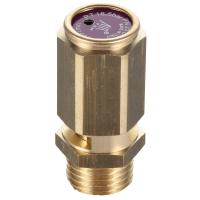 Клапан предохранительный 3/4" 18,4 бар 319-422/818130901